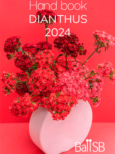 Dianthus Catalogue