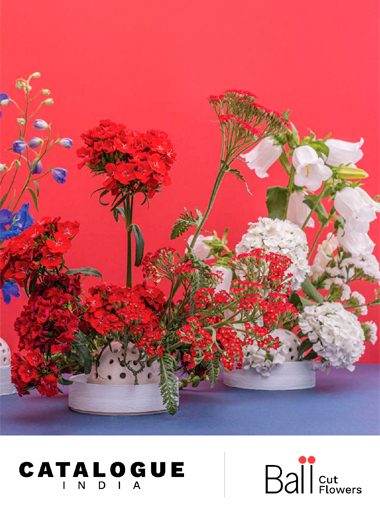 Ball CutFlowers India