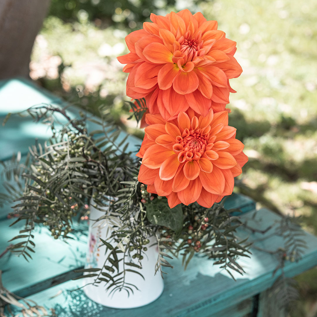 Orange Quar in a vase