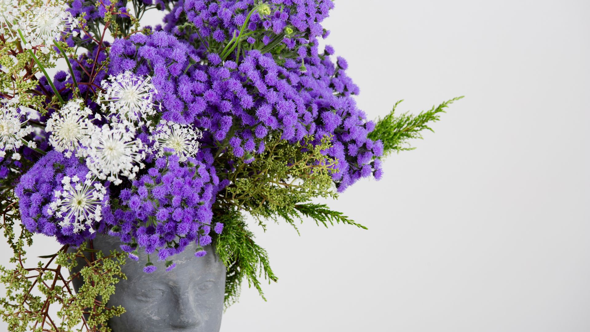 Detalle de la flor Ageratum JJ en bouquet